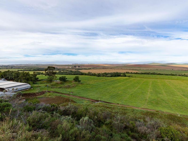 Farm For Sale in Riversdale Rural, Riversdale, Western Cape - Photo 10