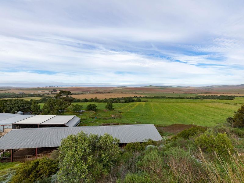 Farm For Sale in Riversdale Rural, Riversdale, Western Cape - Photo 8