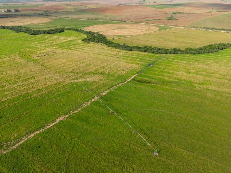 Farm For Sale in Riversdale Rural, Riversdale, Western Cape - Photo 4