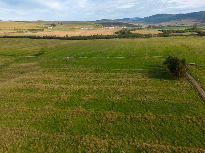 Farm For Sale in Riversdale Rural, Riversdale, Western Cape - Photo 3
