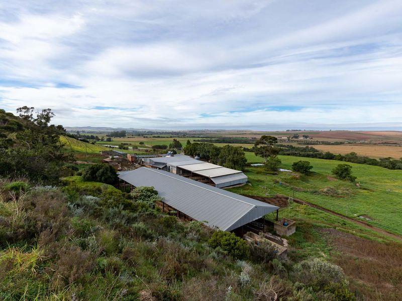 Farm For Sale in Riversdale Rural, Riversdale, Western Cape - Photo 9