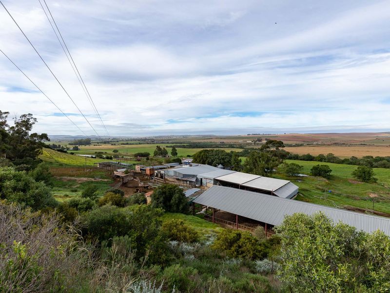 Farm For Sale in Riversdale Rural, Riversdale, Western Cape - Photo 7