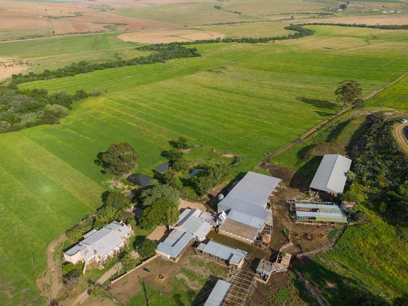 Farm For Sale in Riversdale Rural, Riversdale, Western Cape - Photo 6