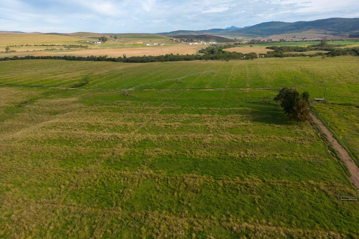 Farm For Sale in Riversdale Rural, Riversdale, Western Cape - Photo 3
