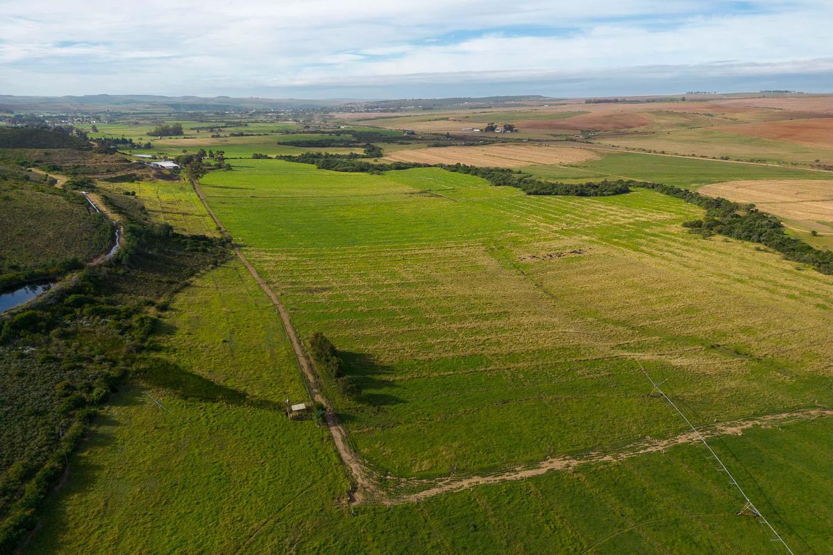 Farm For Sale in Riversdale Rural, Riversdale, Western Cape - Photo 5