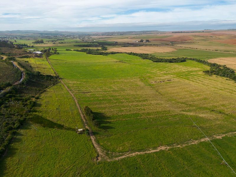 Farm For Sale in Riversdale Rural, Riversdale, Western Cape - Photo 5