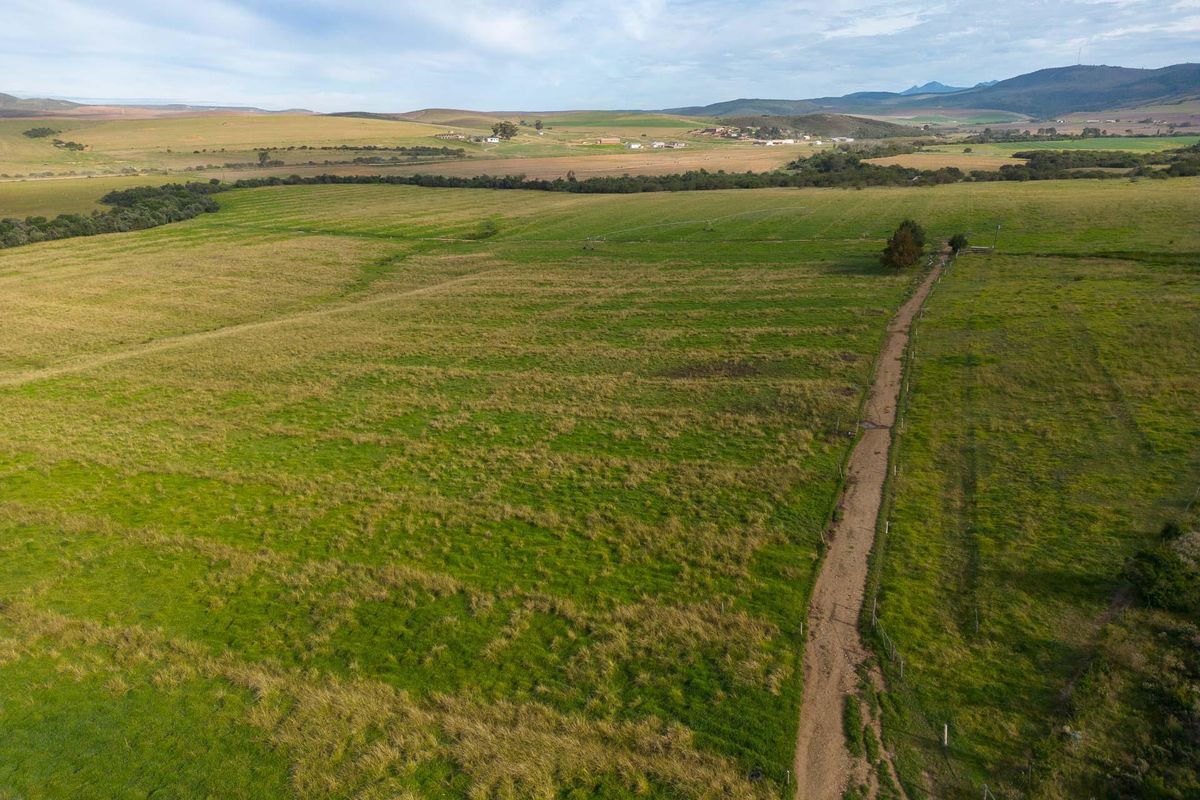 Farm For Sale in Riversdale Rural, Riversdale, Western Cape - Photo 2