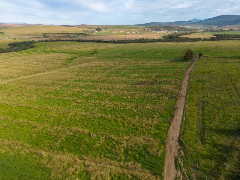 Farm For Sale in Riversdale Rural, Riversdale, Western Cape - Photo 2