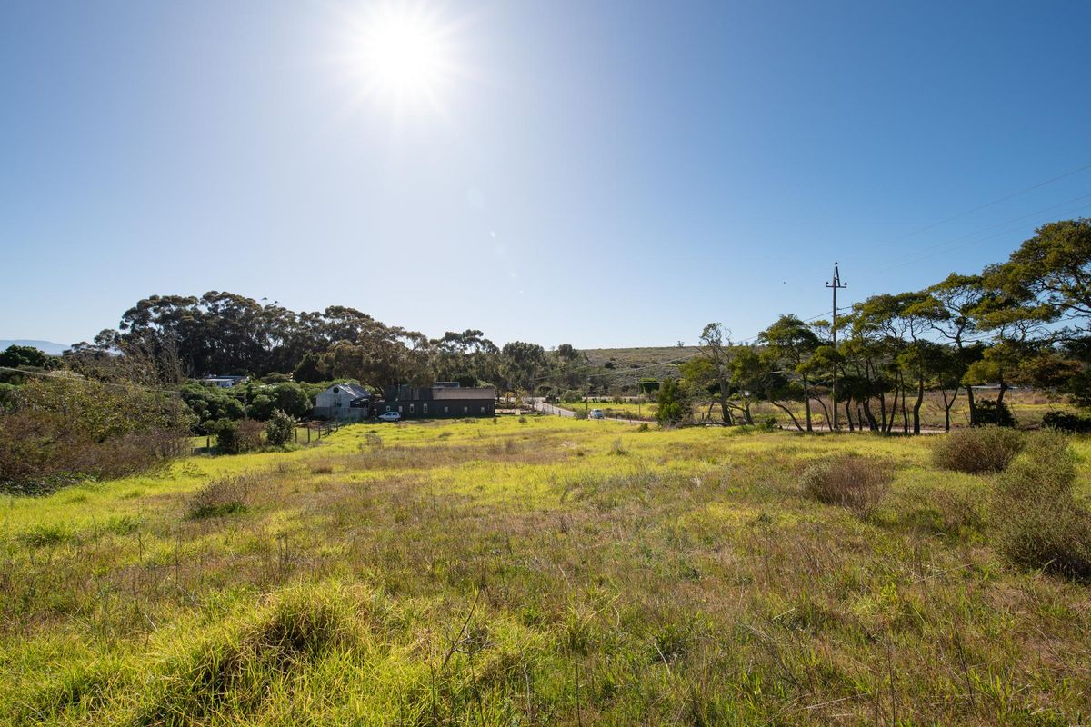 A wide-angle view of a vacant residential plot featuring natural grass, mature trees, and overhead power lines.