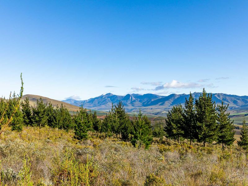 Vacant Land For Sale in Riversdale Rural, Riversdale, Western Cape - Photo 10