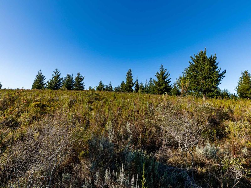 Vacant Land For Sale in Riversdale Rural, Riversdale, Western Cape - Photo 9
