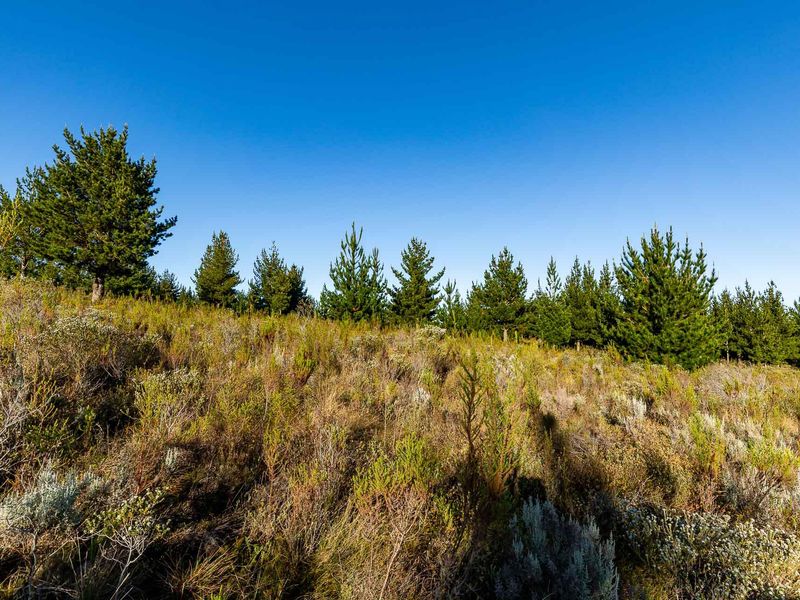 Vacant Land For Sale in Riversdale Rural, Riversdale, Western Cape - Photo 8