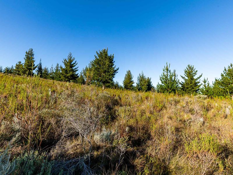 Vacant Land For Sale in Riversdale Rural, Riversdale, Western Cape - Photo 7