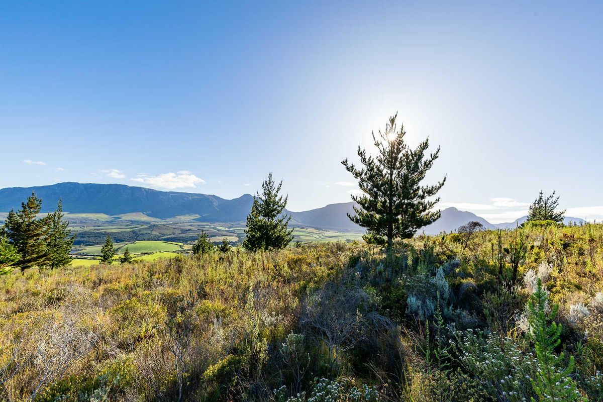 Vacant Land For Sale in Riversdale Rural, Riversdale, Western Cape - Photo 4
