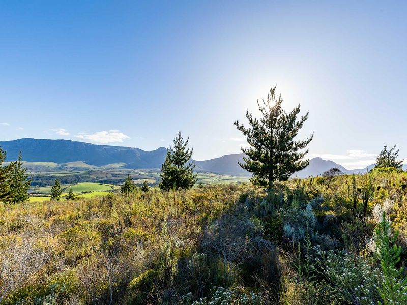 Vacant Land For Sale in Riversdale Rural, Riversdale, Western Cape - Photo 4