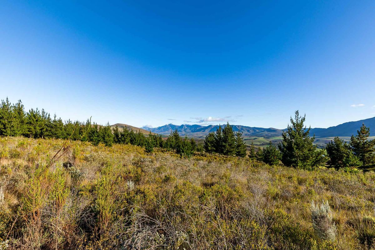 Vacant Land For Sale in Riversdale Rural, Riversdale, Western Cape - Photo 2