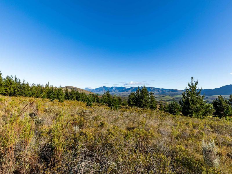 Vacant Land For Sale in Riversdale Rural, Riversdale, Western Cape - Photo 2