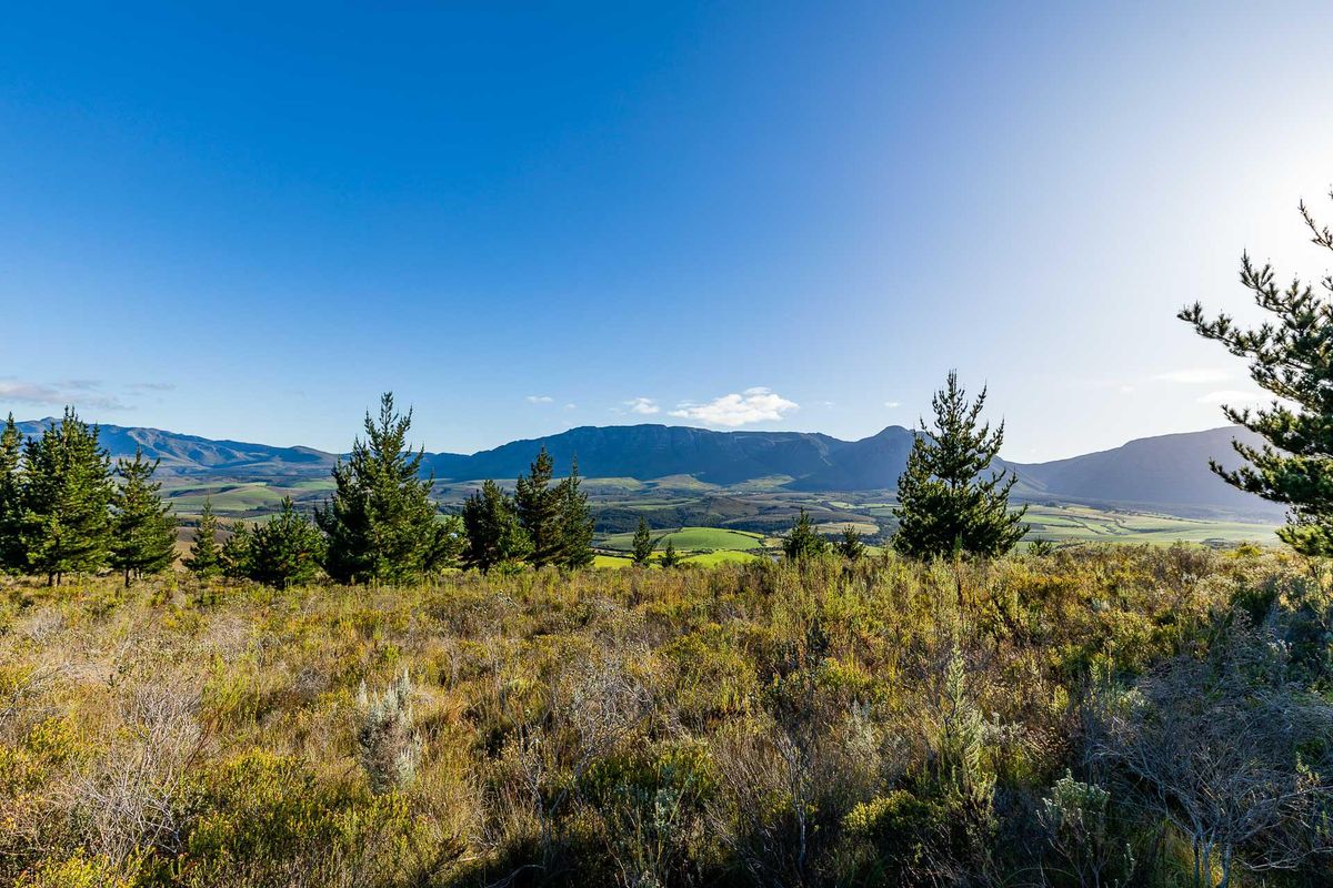 Vacant Land For Sale in Riversdale Rural, Riversdale, Western Cape - Photo 3