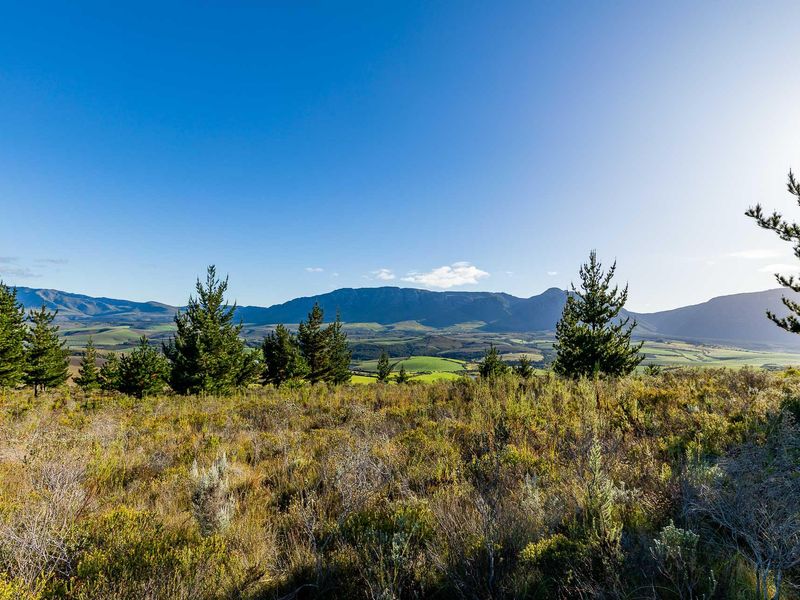 Vacant Land For Sale in Riversdale Rural, Riversdale, Western Cape - Photo 3