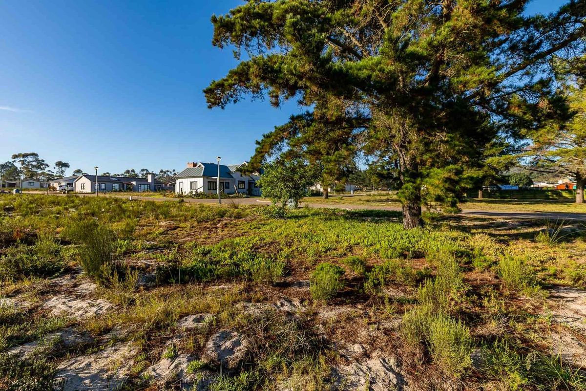 A view of a residential estate featuring natural landscaping, mature trees, and surrounding houses under a clear blue sky.