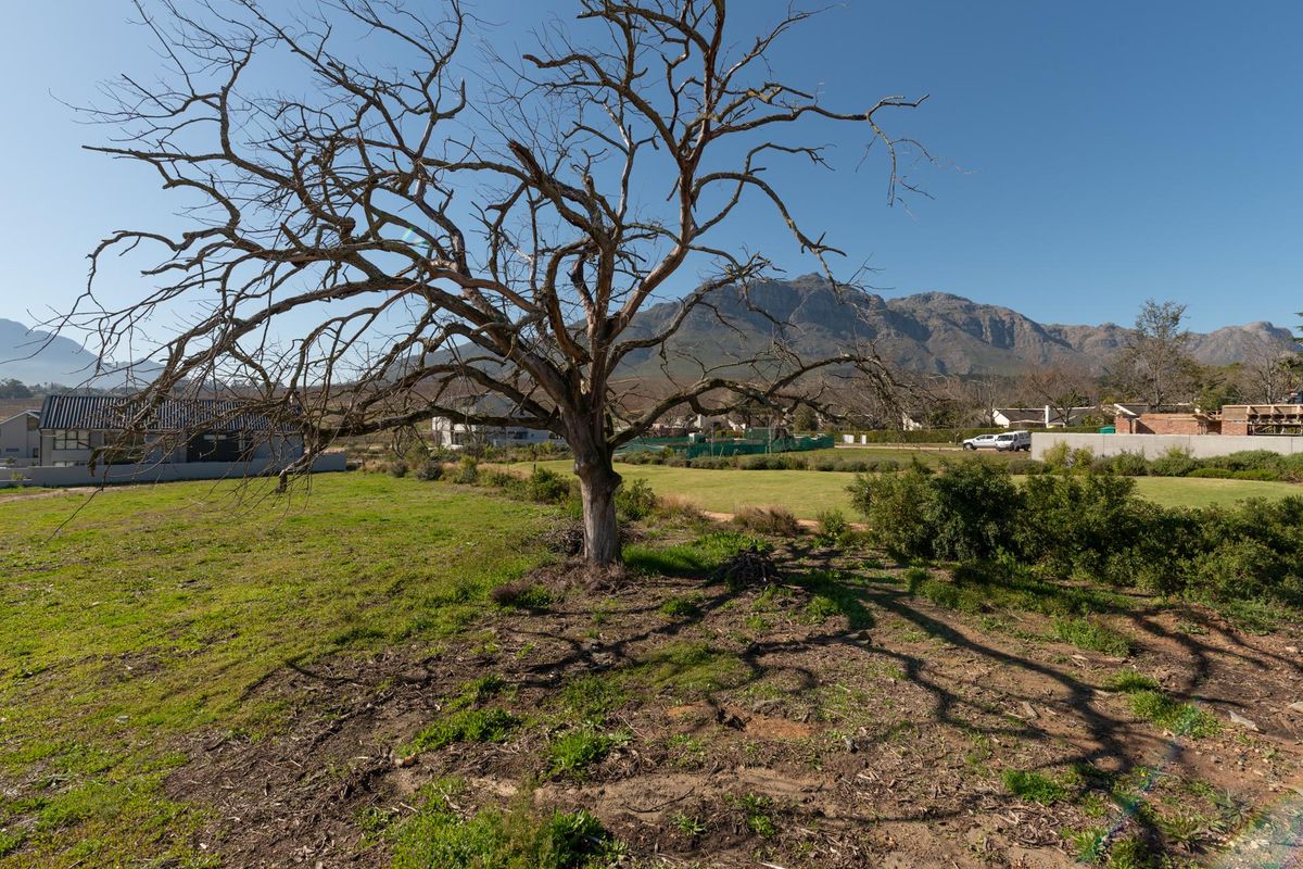Vacant Land For Sale in Paradyskloof, Stellenbosch, Western Cape - Photo 5