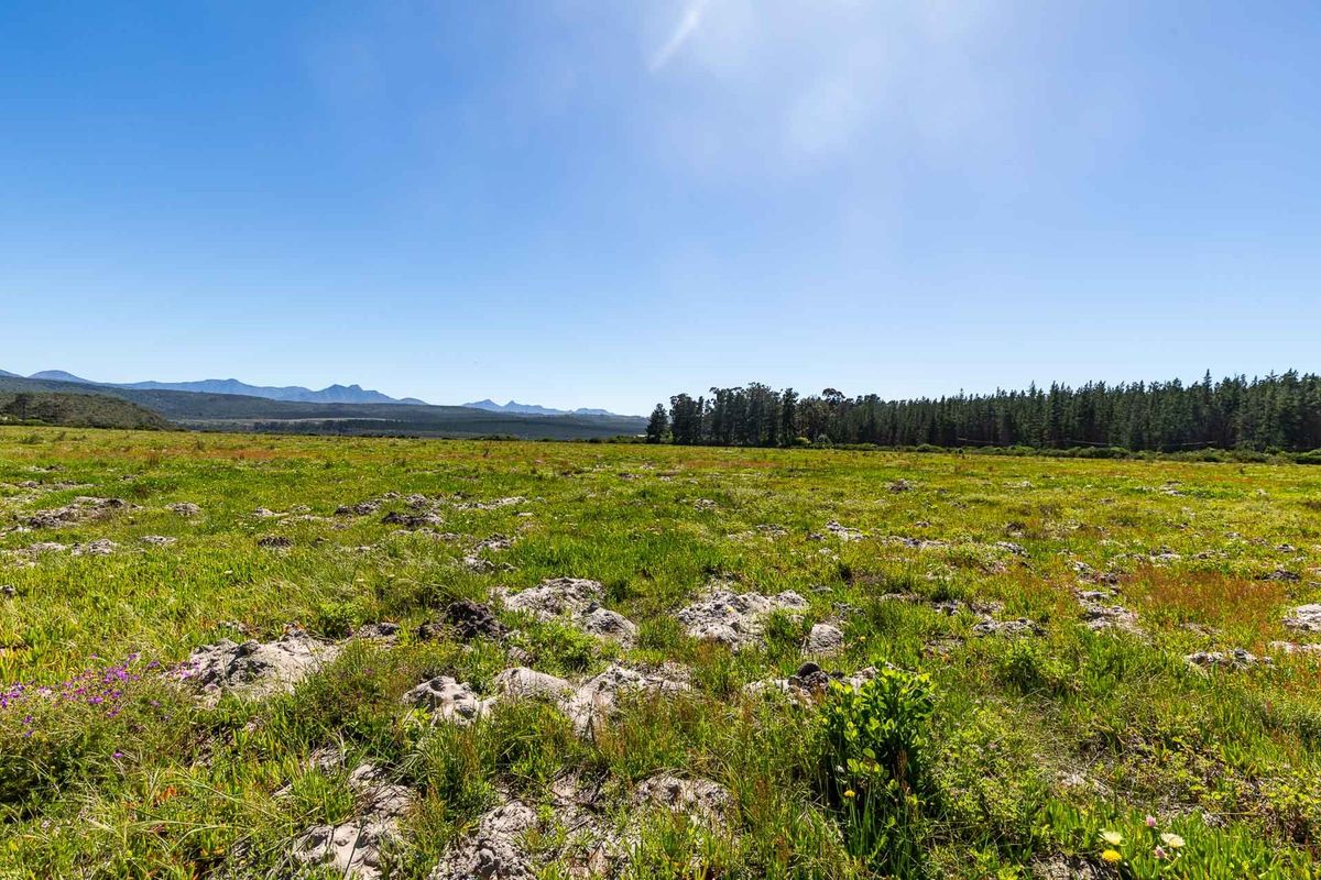 Vacant Land For Sale in Sedgefield Rural, Sedgefield, Western Cape - Photo 4