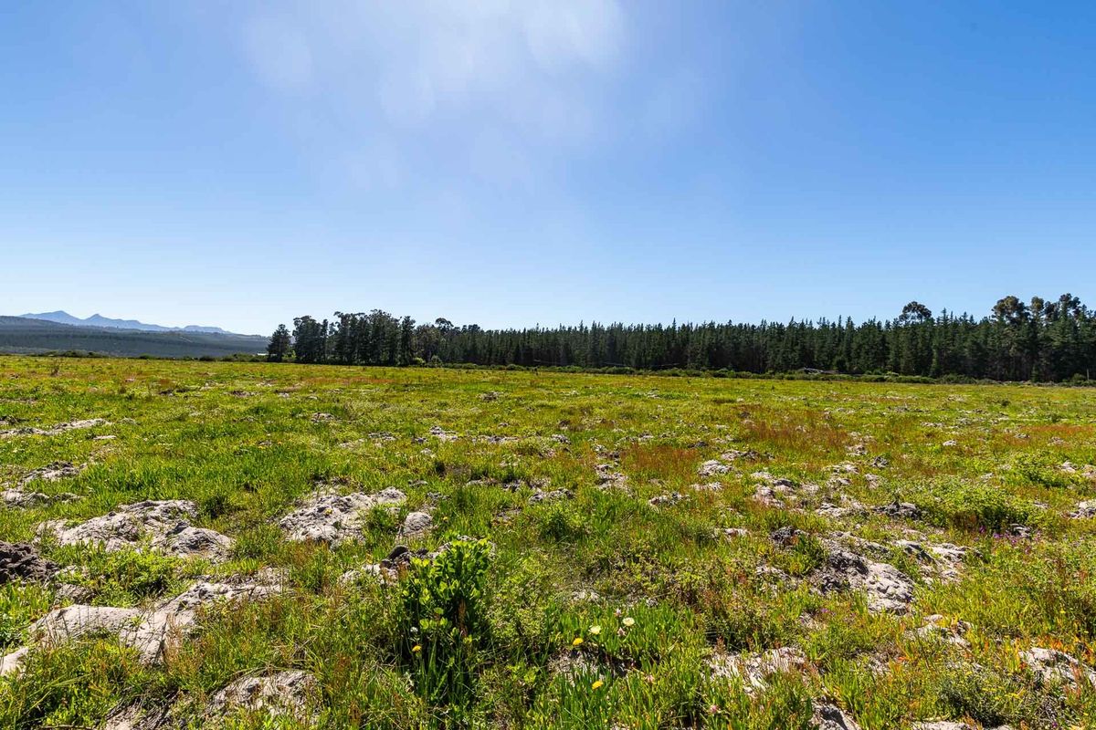 Vacant Land For Sale in Sedgefield Rural, Sedgefield, Western Cape - Photo 5