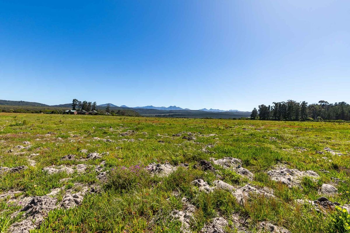 A wide, open expanse of vacant residential land featuring natural vegetation and scenic mountain views in the distance.