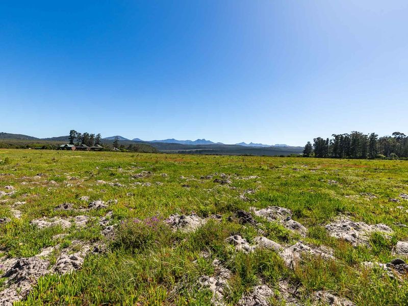 A wide, open expanse of vacant residential land featuring natural vegetation and scenic mountain views in the distance.