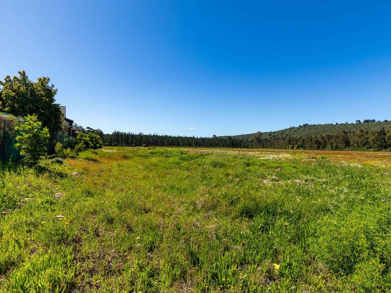 A wide, open residential vacant land plot featuring natural grass coverage, bordered by trees and a fence line under a clear blue sky.