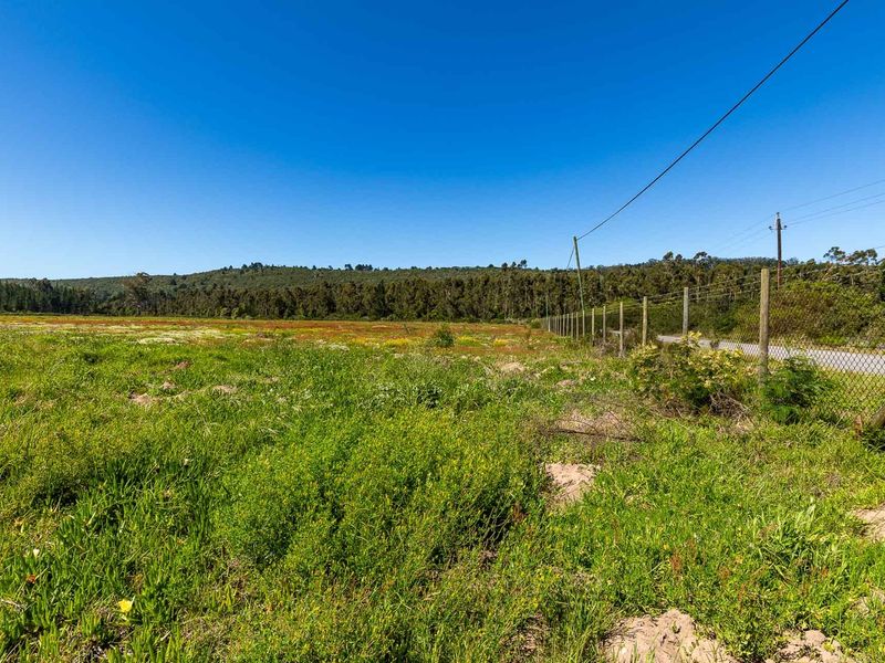 A view of a vacant residential plot featuring natural grassland, perimeter wire fencing, and overhead utility lines against a backdrop of trees.