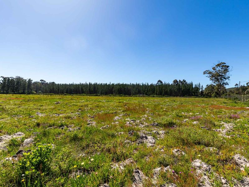 A wide-angle view of a vacant residential plot featuring natural vegetation, rocky terrain, and a tree-lined boundary.