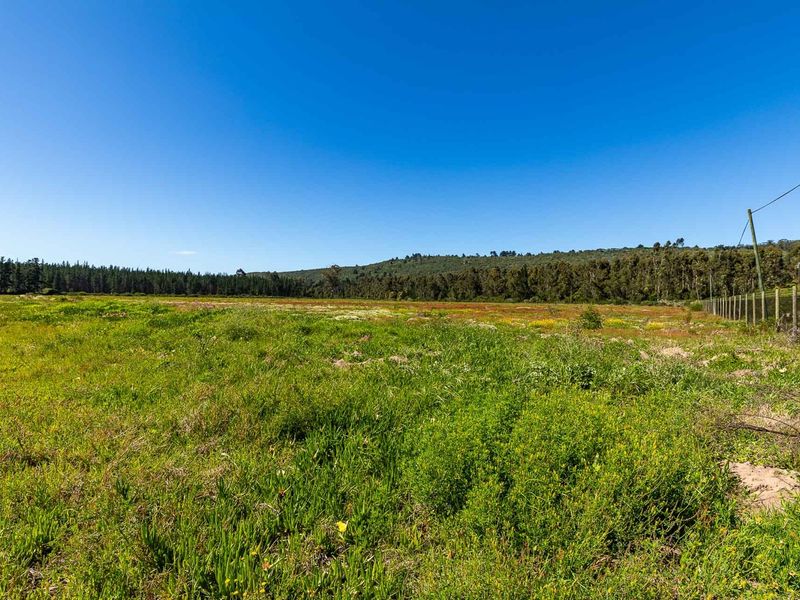 A wide, open expanse of vacant residential land featuring natural grass coverage, bordered by a perimeter fence and scenic forest views.
