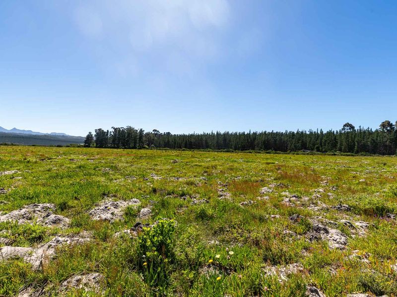 A wide-angle view of a vacant residential plot featuring natural grassland, rocky terrain, and a distant tree line under a clear blue sky.