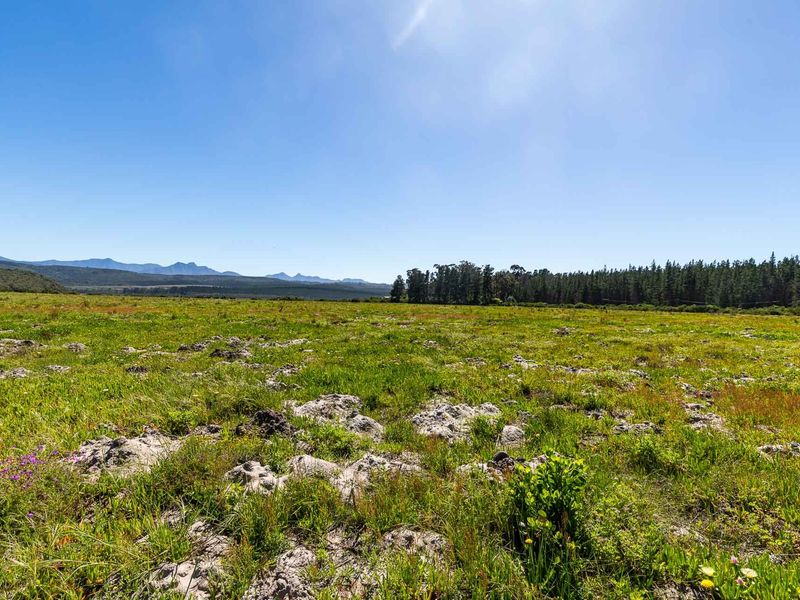 Expansive vacant residential land featuring natural grassland, rocky outcrops, and scenic mountain views, offering a peaceful setting for future development.