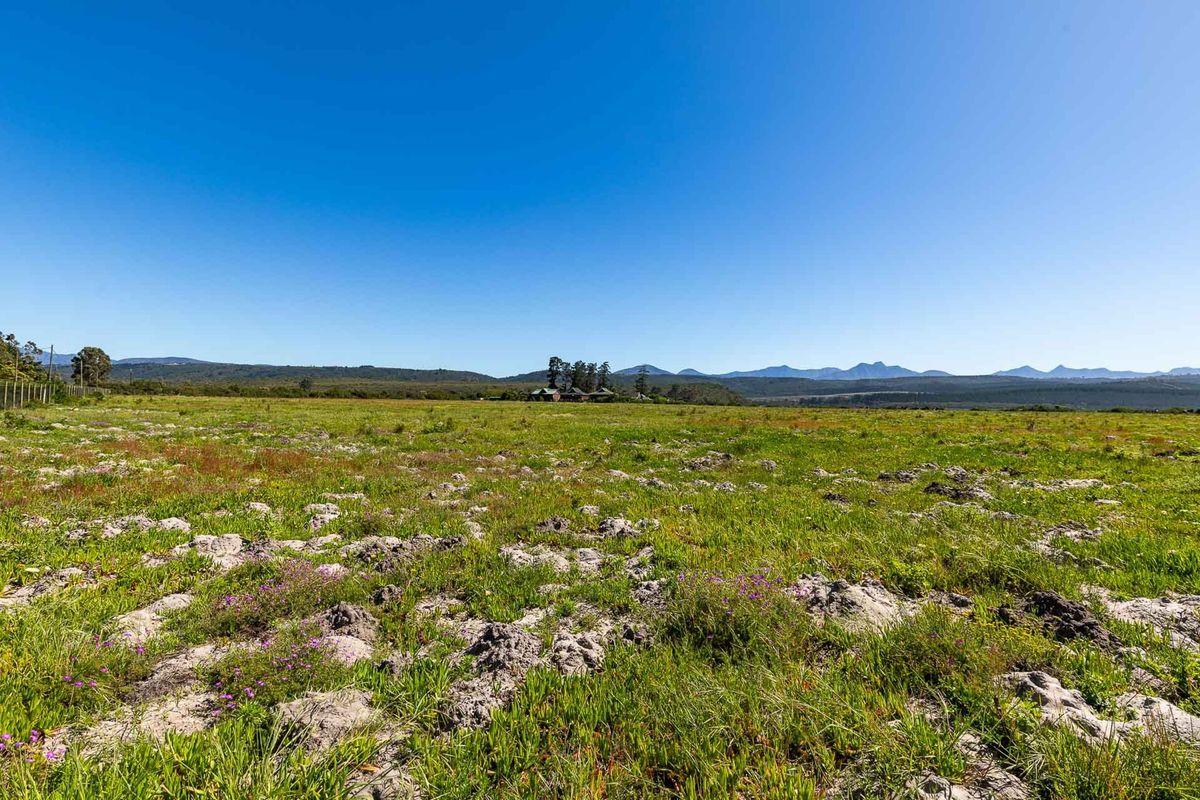 A wide-angle view of the vacant residential land, showcasing the natural landscape, open terrain, and distant mountain views.