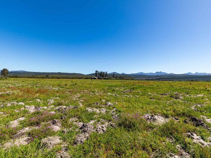 A wide-angle view of the vacant residential land, showcasing the natural landscape, open terrain, and distant mountain views.