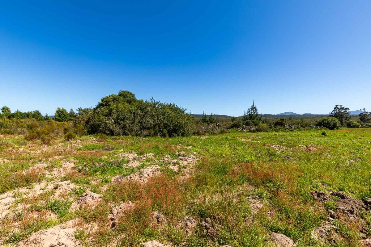 Vacant Land For Sale in Sedgefield Rural, Sedgefield, Western Cape - Photo 5