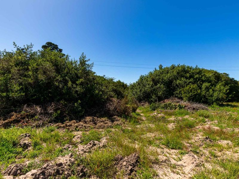A view of the vacant residential land featuring natural vegetation, shrubs, and uneven terrain under a clear blue sky.