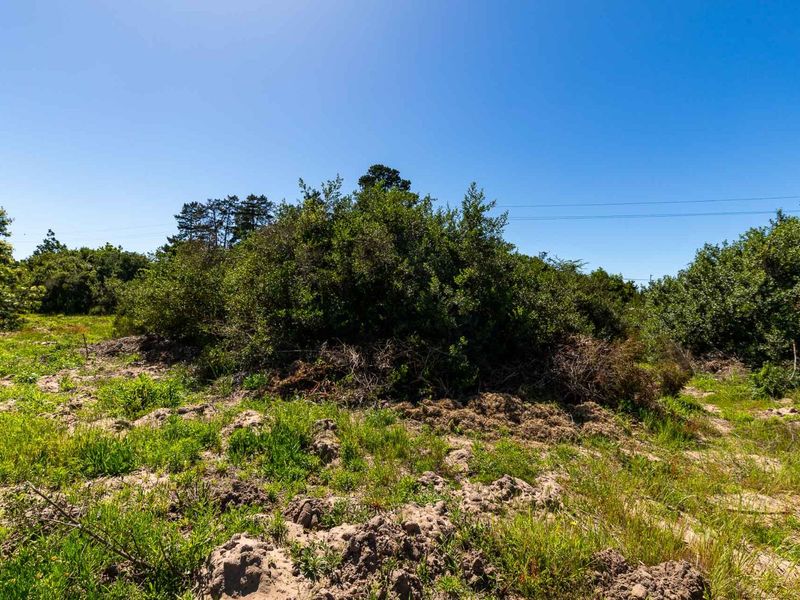 A view of the vacant residential land featuring natural vegetation, shrubs, and uneven terrain under a clear blue sky.