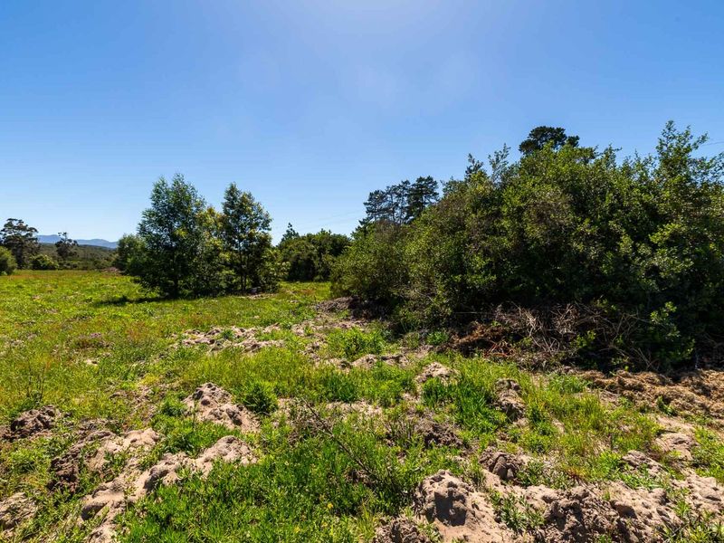 A view of the vacant residential land featuring natural vegetation, native trees, and uneven terrain under a clear blue sky.