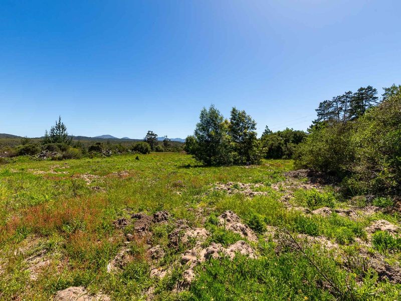 A view of the vacant residential land featuring natural vegetation, native trees, and open terrain under a clear blue sky.