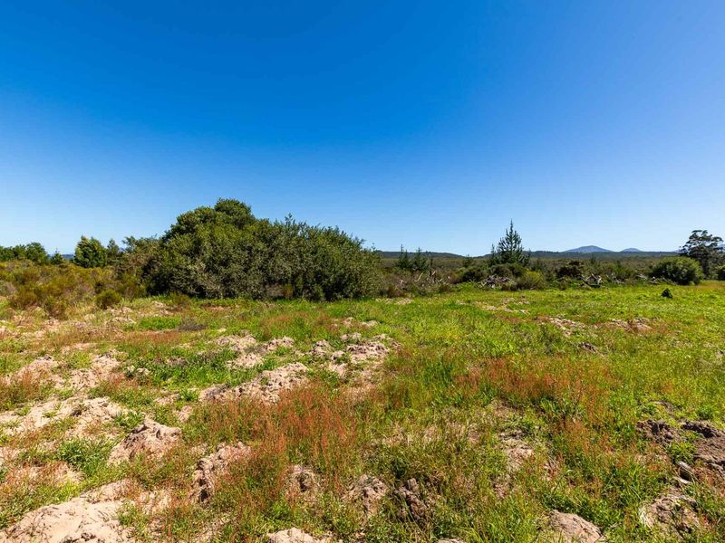 A wide-angle view of a vacant residential land plot featuring natural vegetation, native shrubs, and open terrain under a clear blue sky.