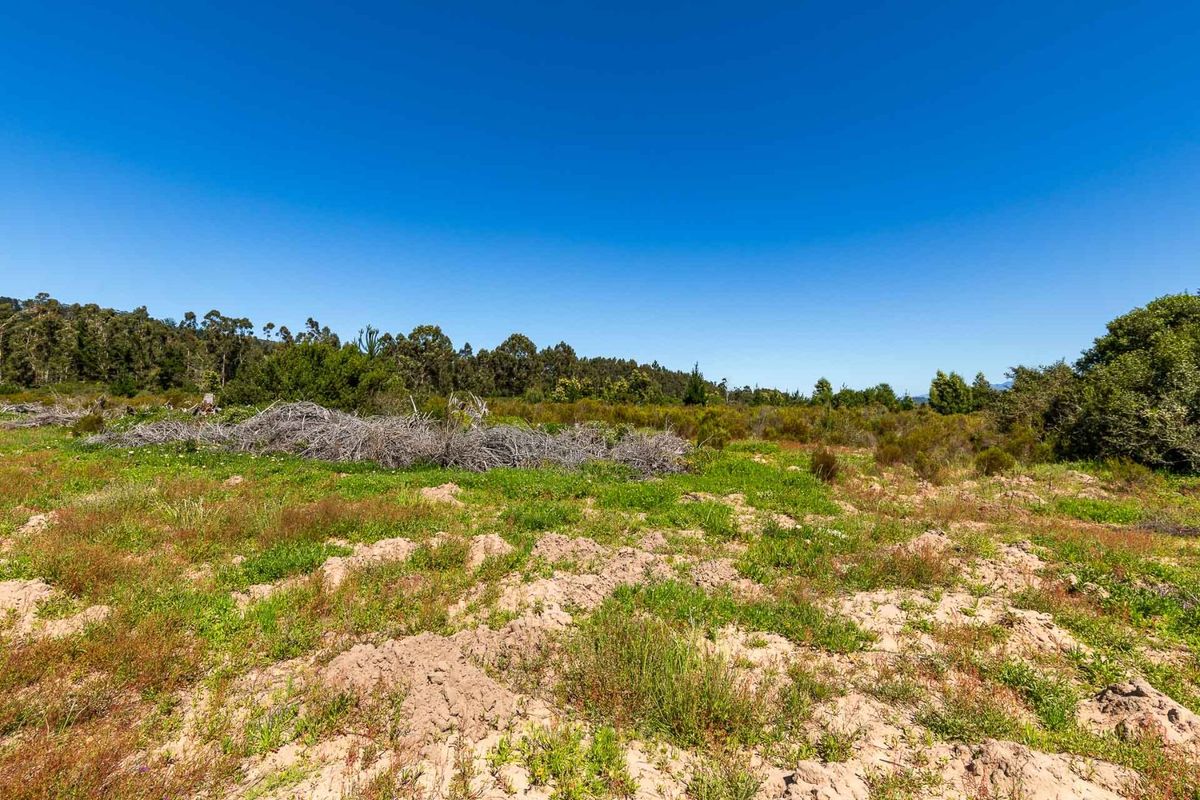 A view of the vacant residential land featuring natural vegetation, native shrubs, and cleared ground, offering a blank canvas for future development.
