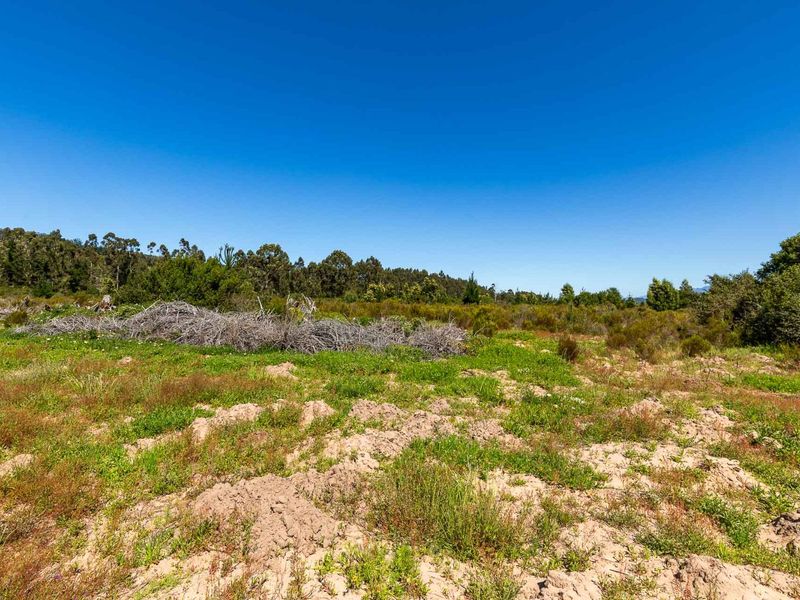 A view of the vacant residential land featuring natural vegetation, native shrubs, and cleared ground, offering a blank canvas for future development.