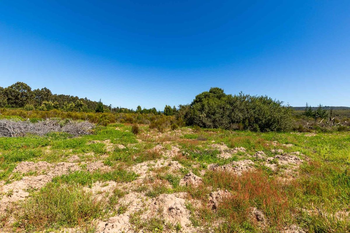 A view of the vacant residential land featuring natural vegetation, native shrubs, and open terrain under a clear blue sky.