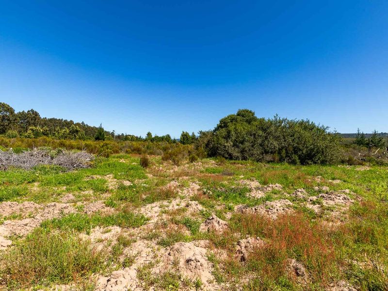 A view of the vacant residential land featuring natural vegetation, native shrubs, and open terrain under a clear blue sky.