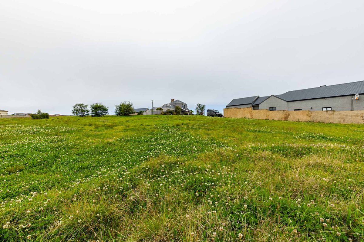 A view of a vacant residential plot featuring grassy terrain, bordered by a stone boundary wall and adjacent residential properties.