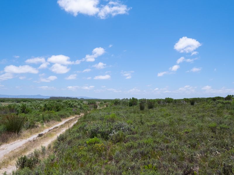 Lifestyle estate - Vacant Land in Struisbaai - Photo 6