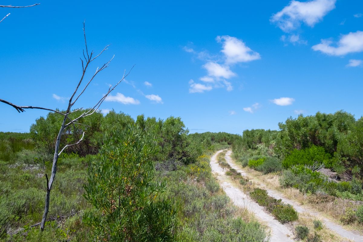 Lifestyle estate - Vacant Land in Struisbaai - Photo 5